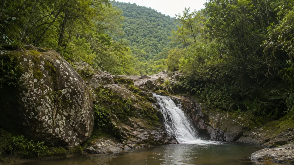 natureza de São Lourenço da Serra